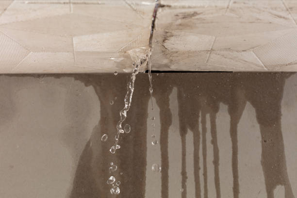 Professional Water Damage Repair technician working in Raynham, MA
